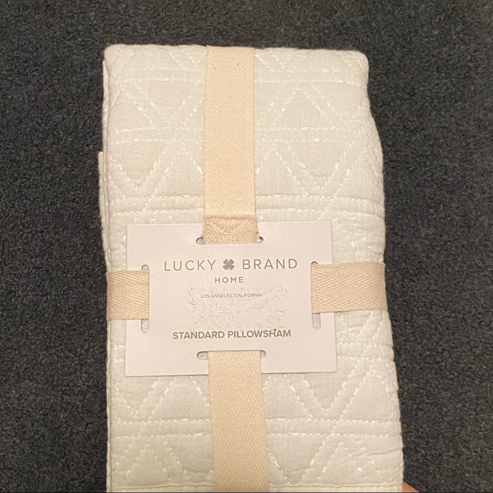 Lucky Brand standard pillow sham